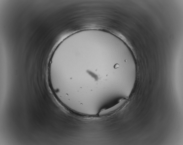 X0000086221187200704261830