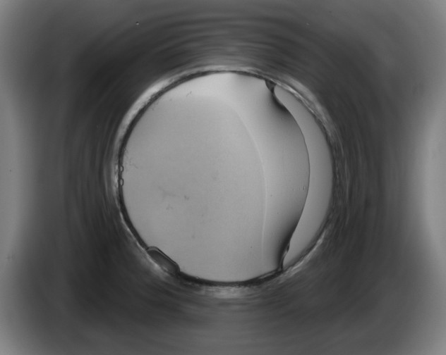 X0000086221188200704261830