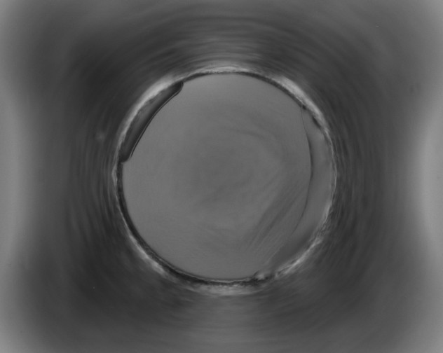 X0000086221189200704261830