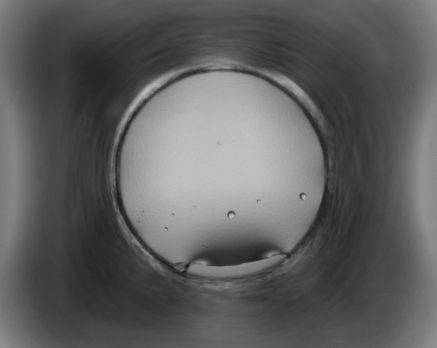 X0000086221191200704261830