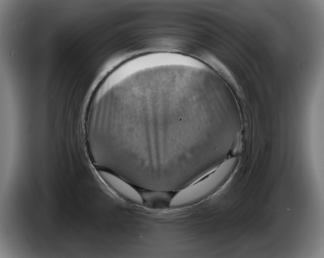 X0000086221192200704261830