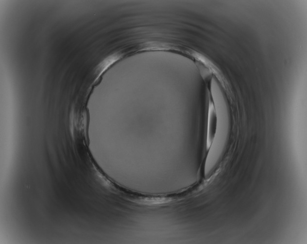 X0000086221193200704261830