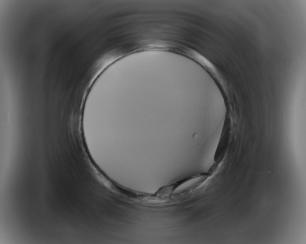 X0000086221194200704261830