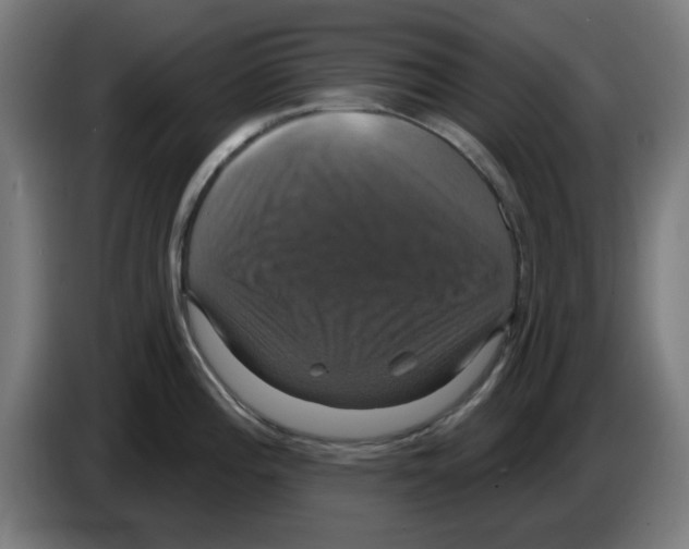 X0000086221196200704261830