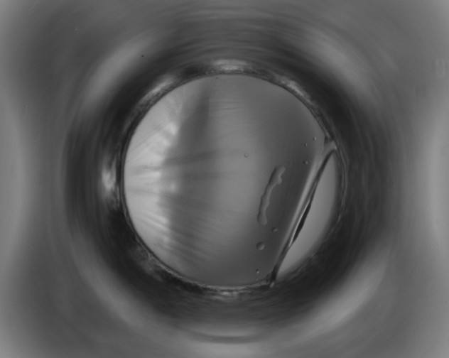 X0000086221198200704261830