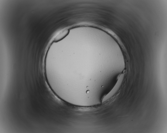 X0000086221199200704261830