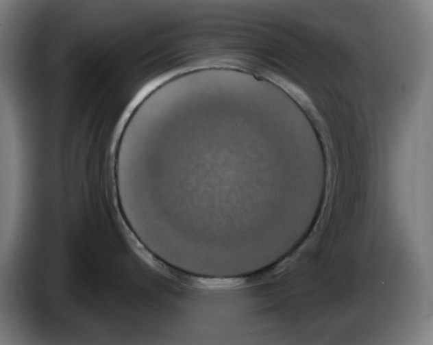 X0000086221200200704261830