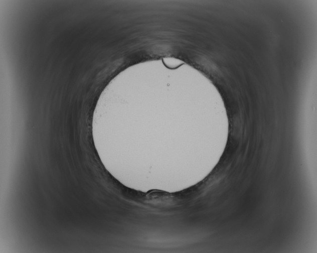 X0000086221201200704261829