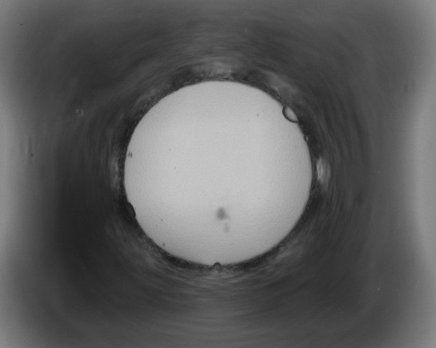 X0000086221203200704261829