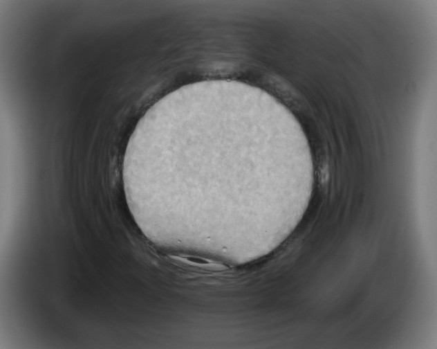 X0000086221204200704261829