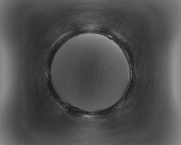 X0000086221206200704261829