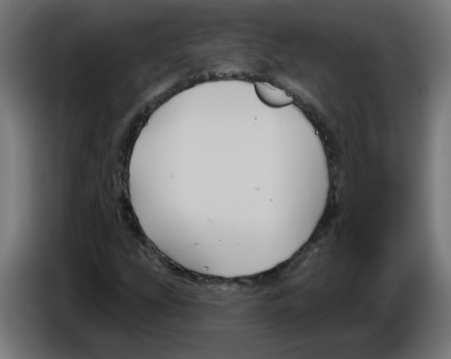 X0000086221207200704261829