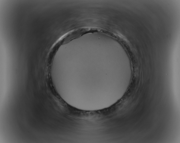 X0000086221208200704261829