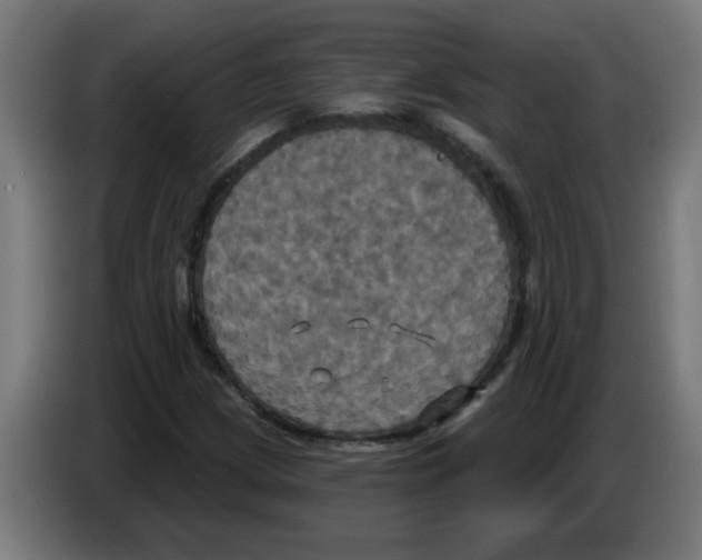 X0000086221209200704261829