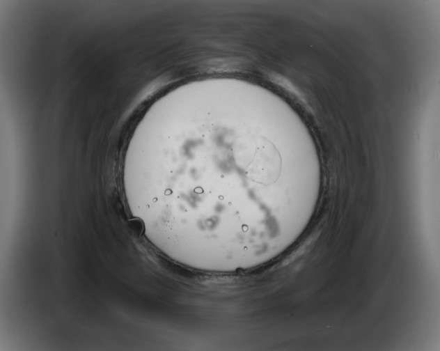 X0000086221211200704261829