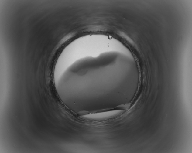 X0000086221213200704261829