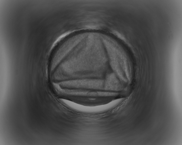 X0000086221214200704261829