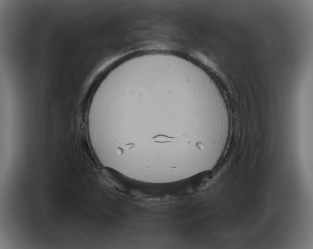 X0000086221215200704261829