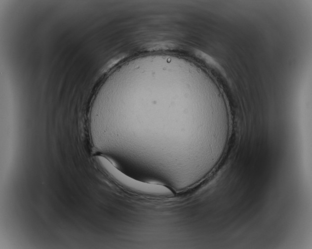 X0000086221217200704261829