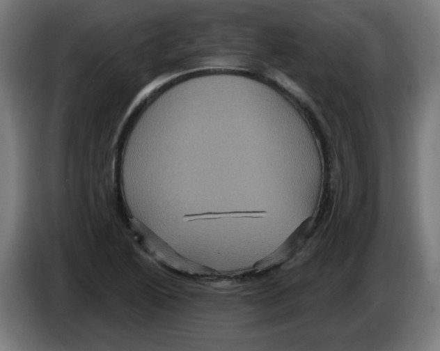 X0000086221222200704261829