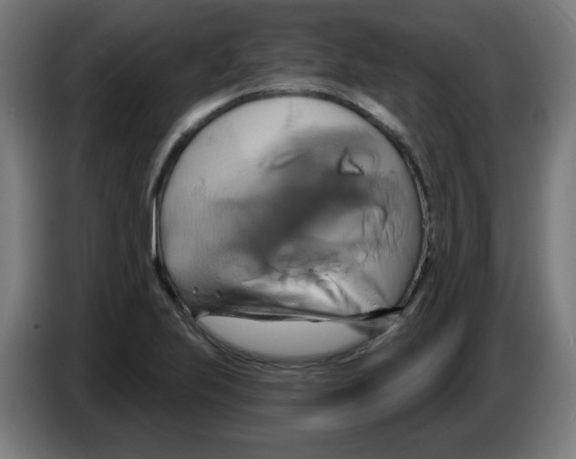 X0000086221223200704261829