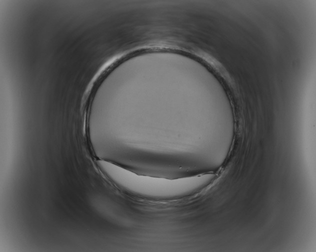 X0000086221224200704261830