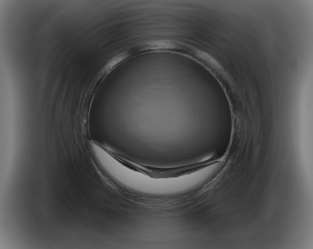 X0000086221225200704261830