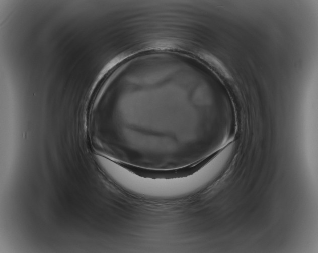 X0000086221226200704261830