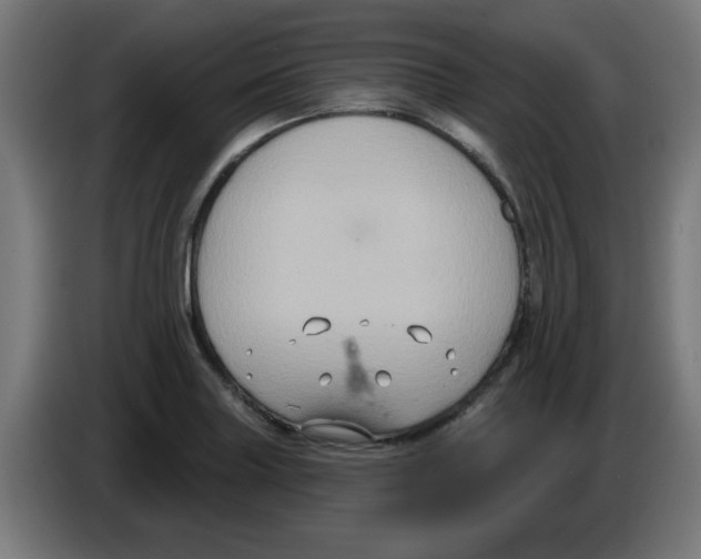 X0000086221227200704261830