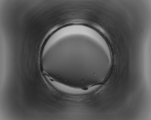 X0000086221229200704261830