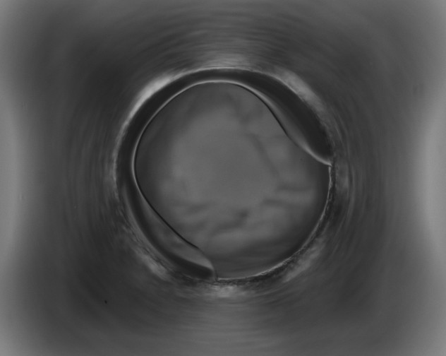 X0000086221230200704261830