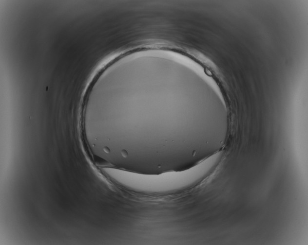 X0000086221231200704261830