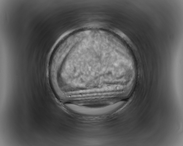 X0000086221232200704261830