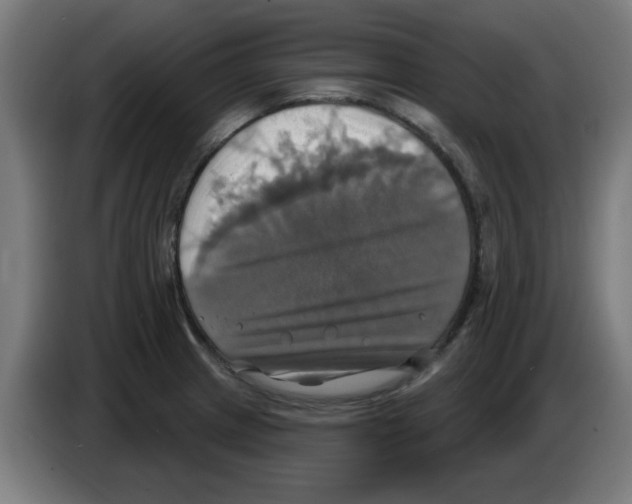 X0000086221233200704261830