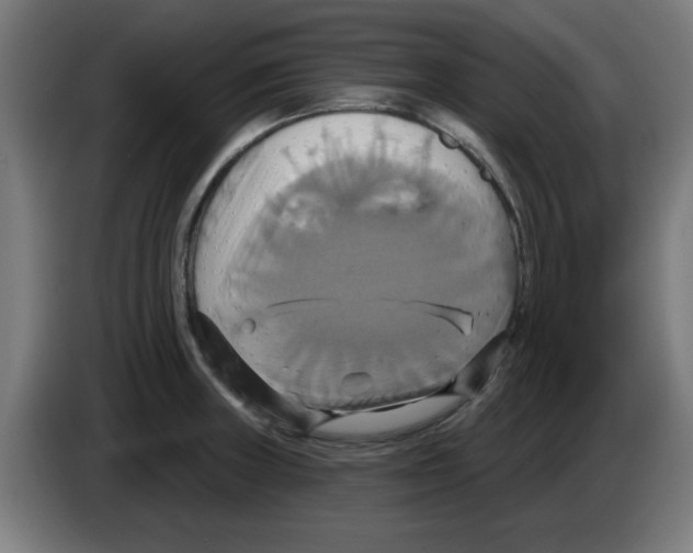 X0000086221235200704261830