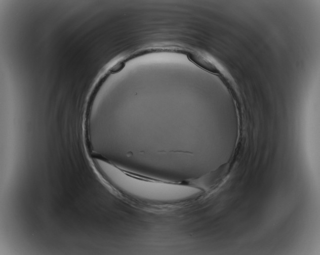 X0000086221237200704261830