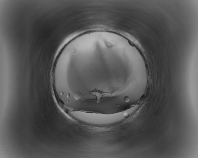 X0000086221239200704261830