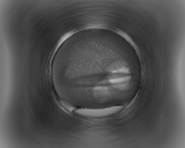 X0000086221242200704261830