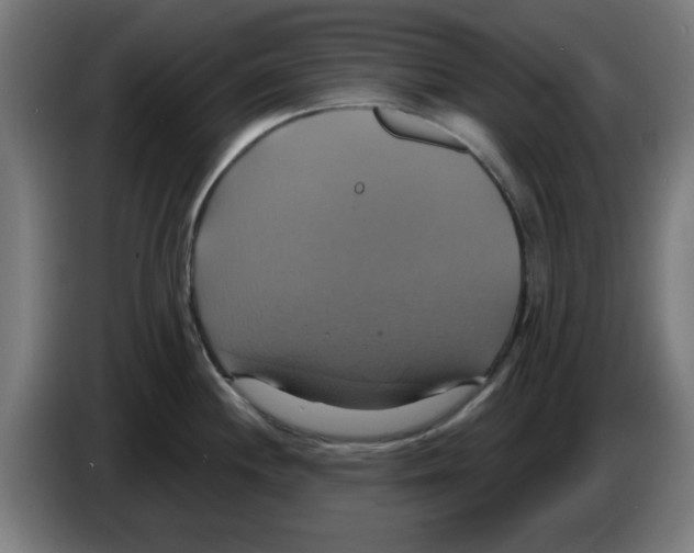 X0000086221244200704261830