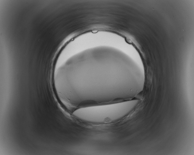 X0000086221245200704261830