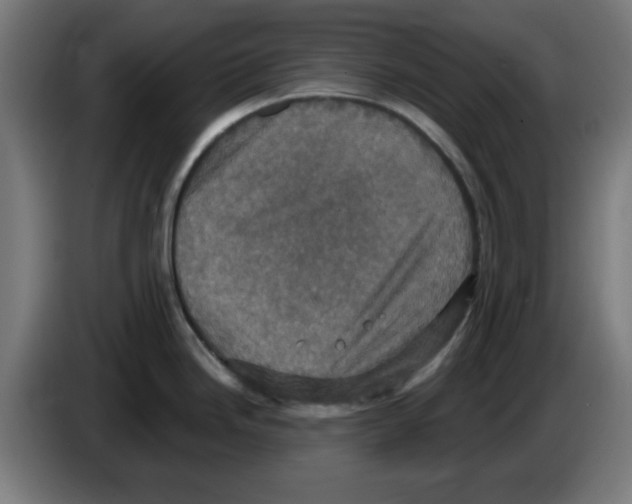 X0000086221246200704261830