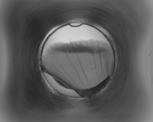 X0000086221248200704261830