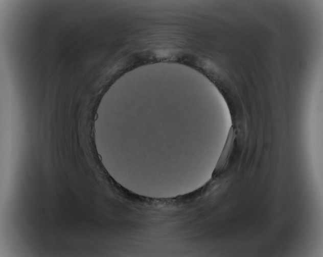 X0000086221249200704261829