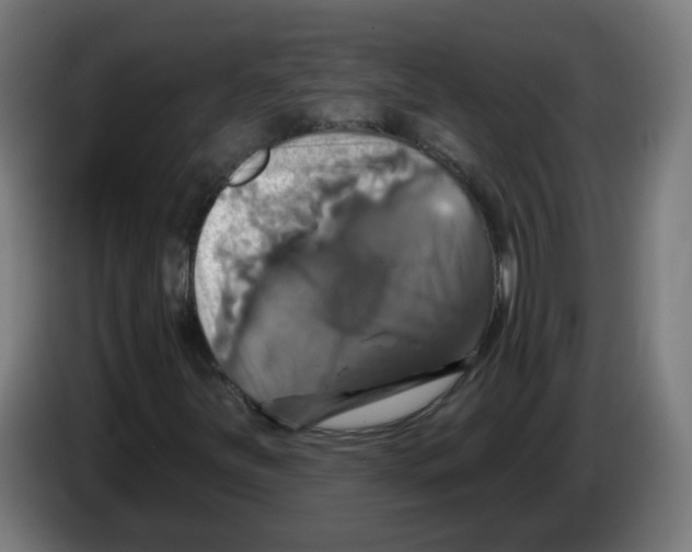 X0000086221251200704261829