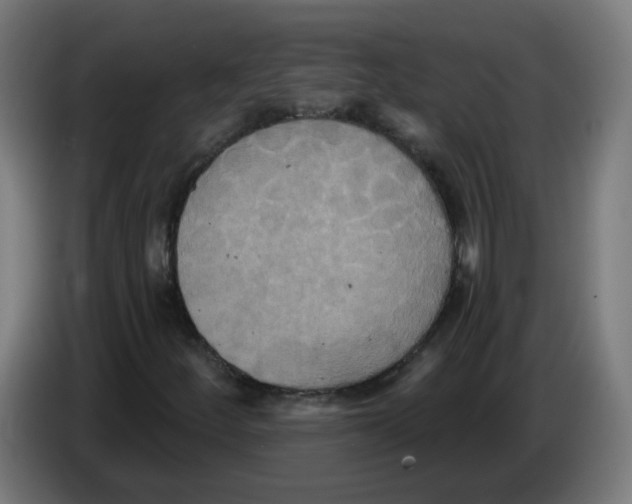 X0000086221252200704261829