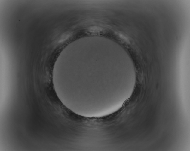 X0000086221253200704261829