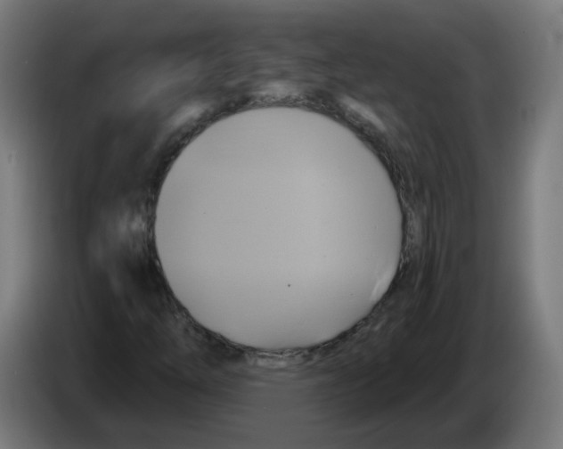 X0000086221254200704261829