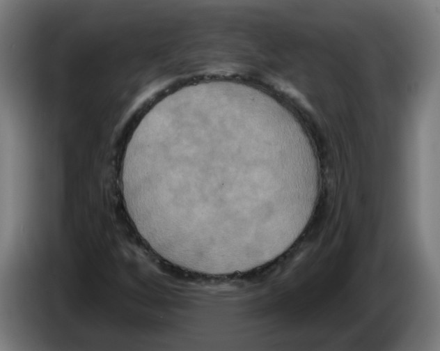 X0000086221256200704261829