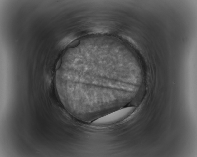 X0000086221257200704261829