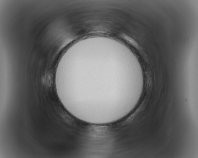 X0000086221258200704261829